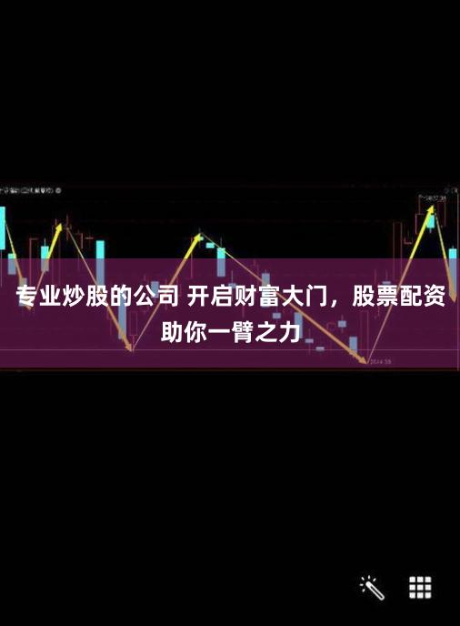 专业炒股的公司 开启财富大门，股票配资助你一臂之力