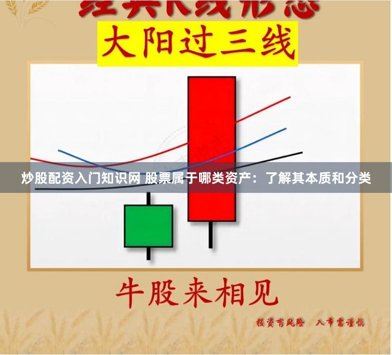 炒股配资入门知识网 股票属于哪类资产：了解其本质和分类
